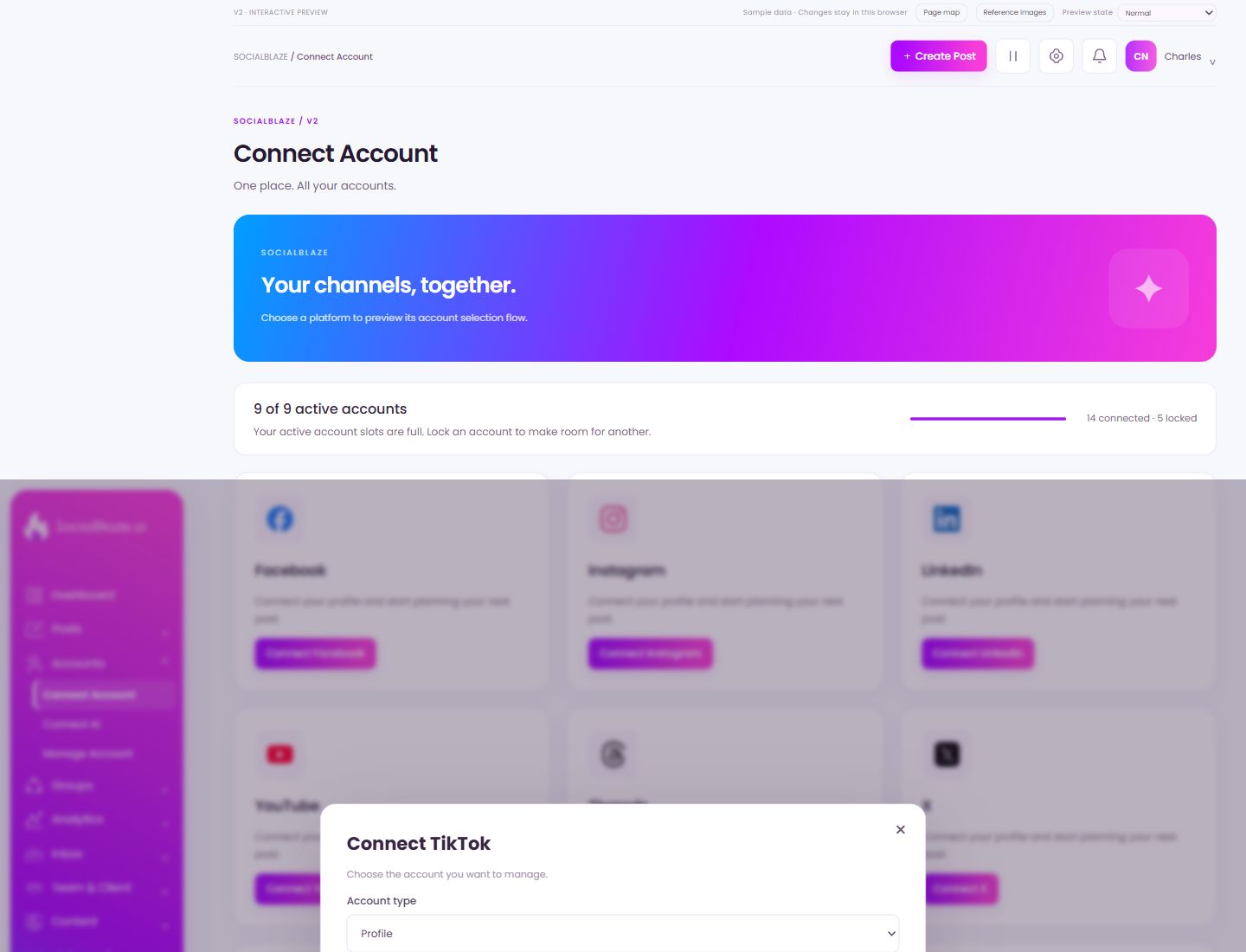 TikTok connection preview. Highlighted controls are explained below.