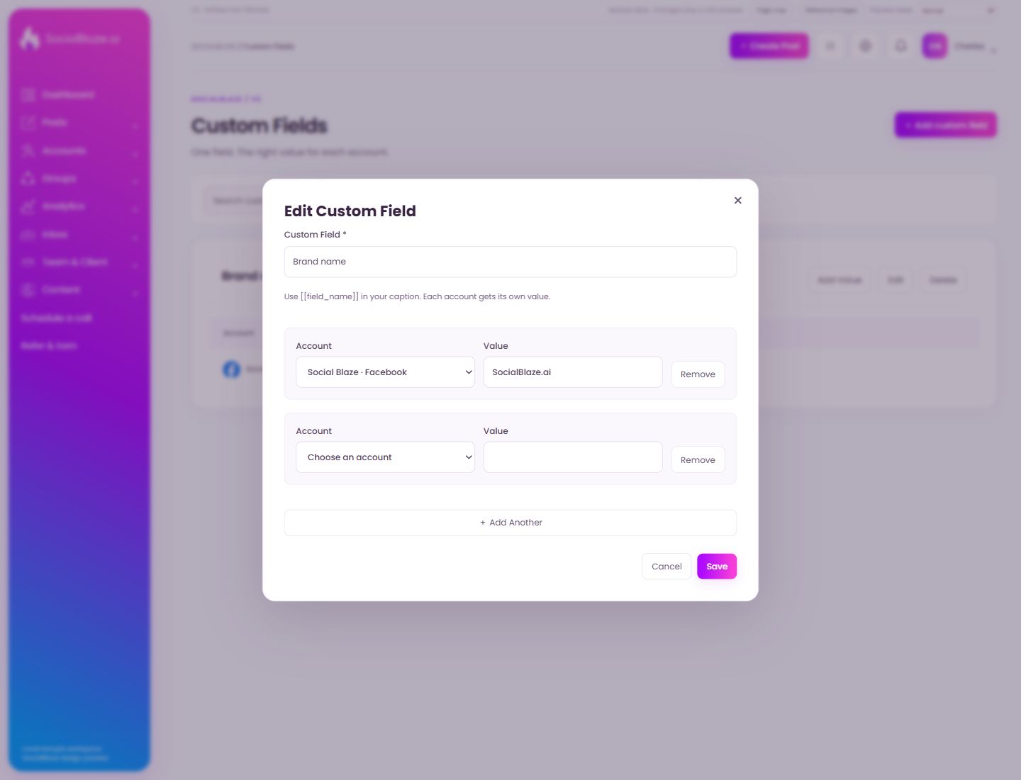 Custom field value. Highlighted controls are explained below.